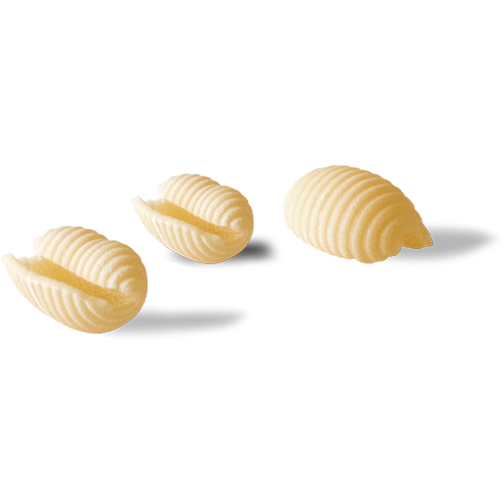 Gentile, Gnocchetti, Pasta di Gragnano IGP